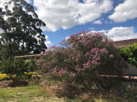 Book Cockburn Central Accommodation Vacations Accommodation 4U Accommodation 4U