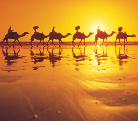 Mantra Frangipani Broome - Accommodation 4U 6