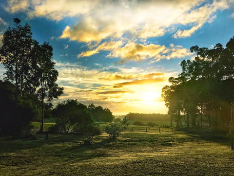 For The Birds Yallingup - Accommodation 4U 23