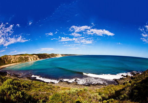 For The Birds Yallingup - Accommodation 4U 31