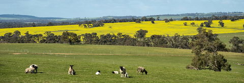 Kendenup Cottages And Lodge - Accommodation 4U 44