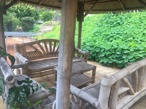Bright & Beautiful Home On The Hills! - Accommodation 4U 25