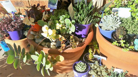 Quest Yelverton Kalgoorlie - Accommodation 4U 11