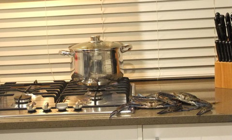 South Yunderup Holiday Rental - Accommodation 4U 12