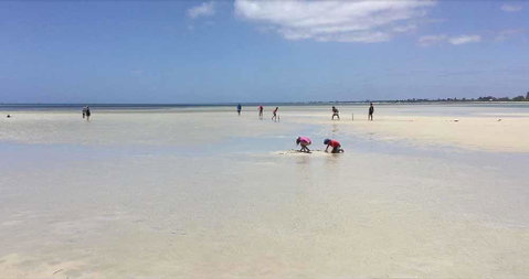 Beach House Dunsborough - Accommodation 4U 22