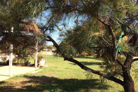 Ocean View Homestead - Accommodation 4U 23