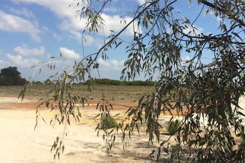 Ocean View Homestead - Accommodation 4U 16
