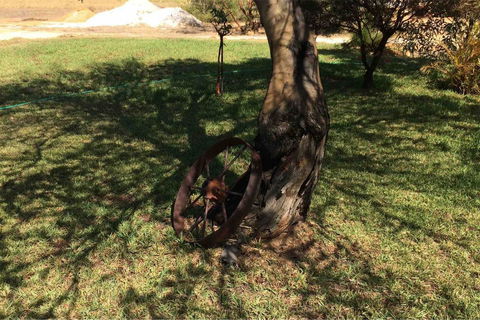 Ocean View Homestead - Accommodation 4U 18