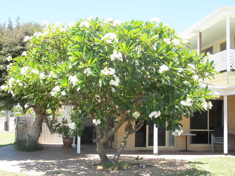 Kalbarri Riverfront Unit - Accommodation 4U 6
