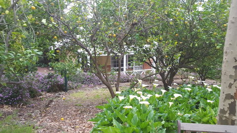 Two Sisters Chalets - Accommodation 4U 15