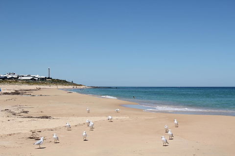 Bluebird Cottage - Accommodation 4U 40