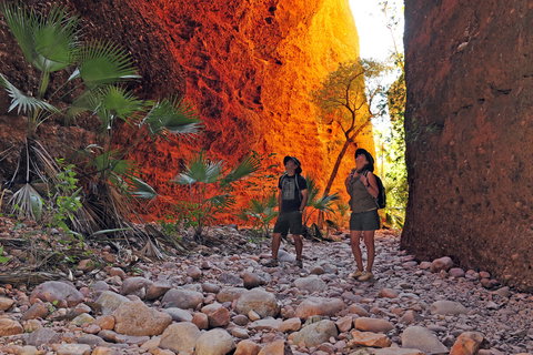 Bungle Bungle Wilderness Lodge - Accommodation 4U 13