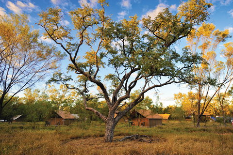 Bungle Bungle Wilderness Lodge - Accommodation 4U 11