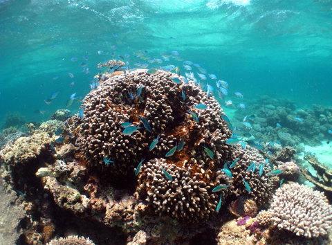 Ningaloo Coral Bay â€“ Bayview - Accommodation 4U 2