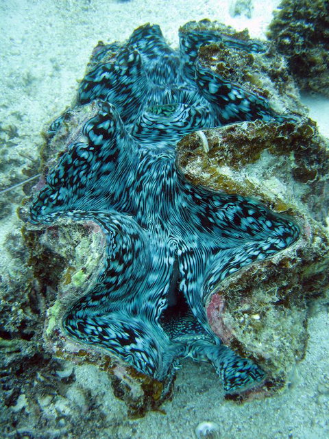 Ningaloo Coral Bay â€“ Bayview - Accommodation 4U 5