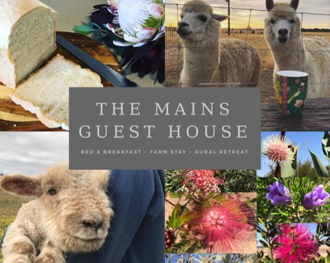 The Mains Guest House 2 Bedroom Farm Stay - Accommodation 4U 0