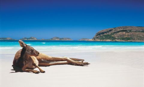 Esperance YHA - Accommodation 4U 14