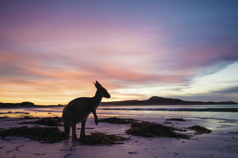 Esperance YHA - Accommodation 4U 20