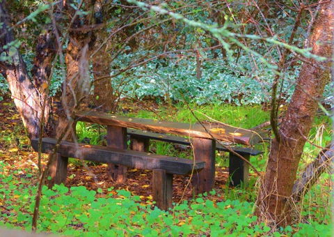 Black Cockatoo Lodge - Accommodation 4U 44