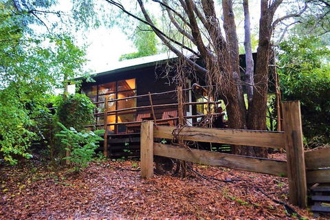 Black Cockatoo Lodge - Accommodation 4U 4