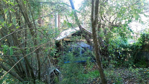 Black Cockatoo Lodge - Accommodation 4U 22