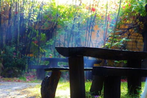 Black Cockatoo Lodge - Accommodation 4U 43