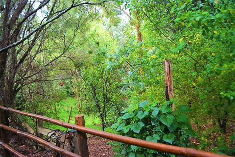 Black Cockatoo Lodge - Accommodation 4U 28