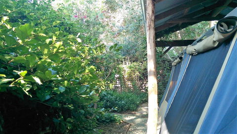 Black Cockatoo Lodge - Accommodation 4U 12