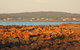 Tamar Solar Home - thumb 16