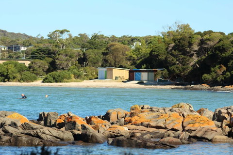 Tamar Solar Home - Accommodation 4U 25