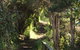 Tamar Solar Home - thumb 15