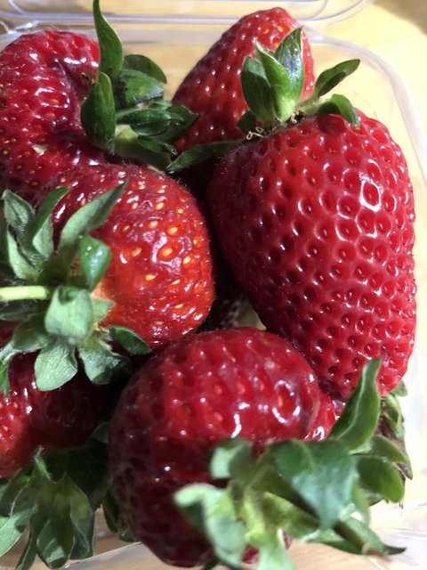 Richmond Bridge Accommodation â€œTwo The Bridgeâ€ - Accommodation 4U 17