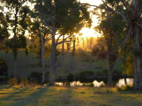 Platypus Park Country Retreat - Accommodation 4U 30