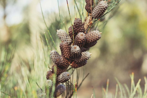 Oyster Cove Chalet - Accommodation 4U 30