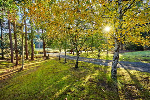 Oyster Cove Chalet - Accommodation 4U 1