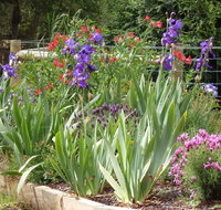 Karoola Cottage Self Contained - Accommodation 4U