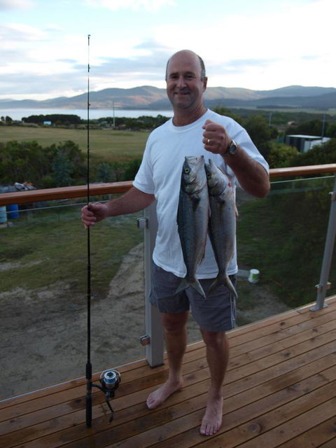 Seymour Waves - Accommodation 4U 16