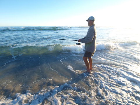 Seymour Waves - Accommodation 4U 22