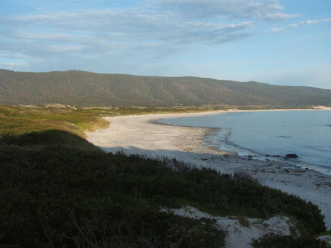 Seymour Waves - Accommodation 4U 20