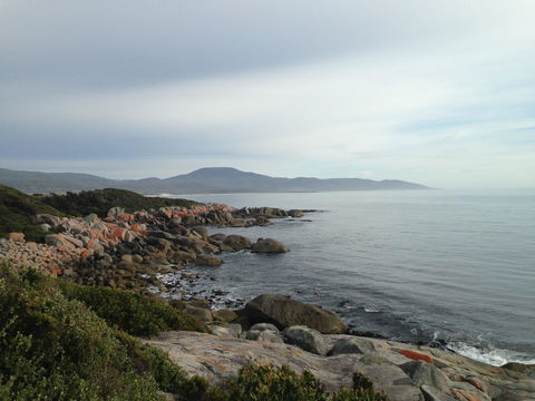 Seymour Waves - Accommodation 4U 12