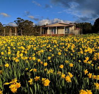 Mountain Blue Guest House - Accommodation 4U