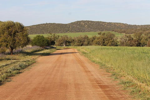 Northbrook Farmstay - Accommodation 4U 2