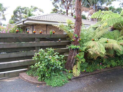 Ocean Drive Apartments - Accommodation 4U 3