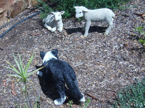 Old Miners' Cottages Bed And Breakfast - Accommodation 4U 2