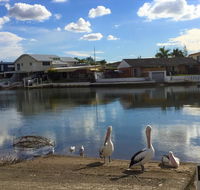 Pelican Cove Apartments - Accommodation 4U