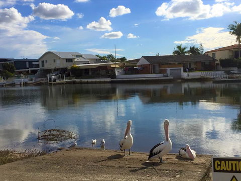 Pelican Cove Apartments - Accommodation 4U 0