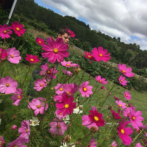 Pennyroyal Otways Retreat - Accommodation 4U 3