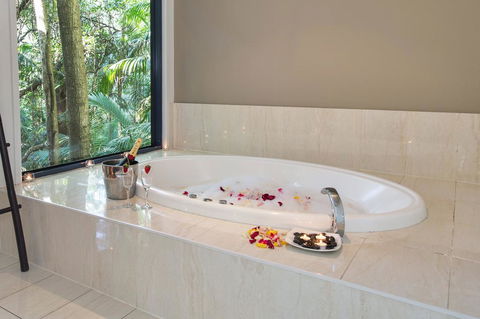 Pethers Rainforest Retreat - Accommodation 4U 2