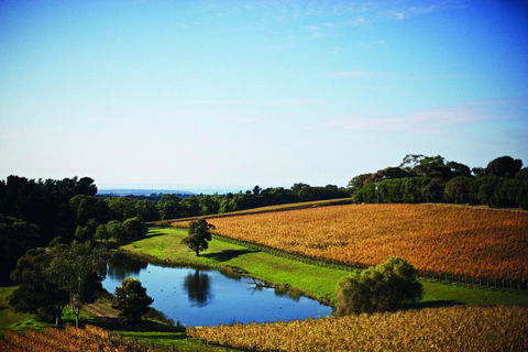 Port Phillip Estate - Accommodation 4U 2