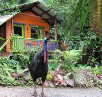 Rainforest Hideaway - Accommodation 4U
